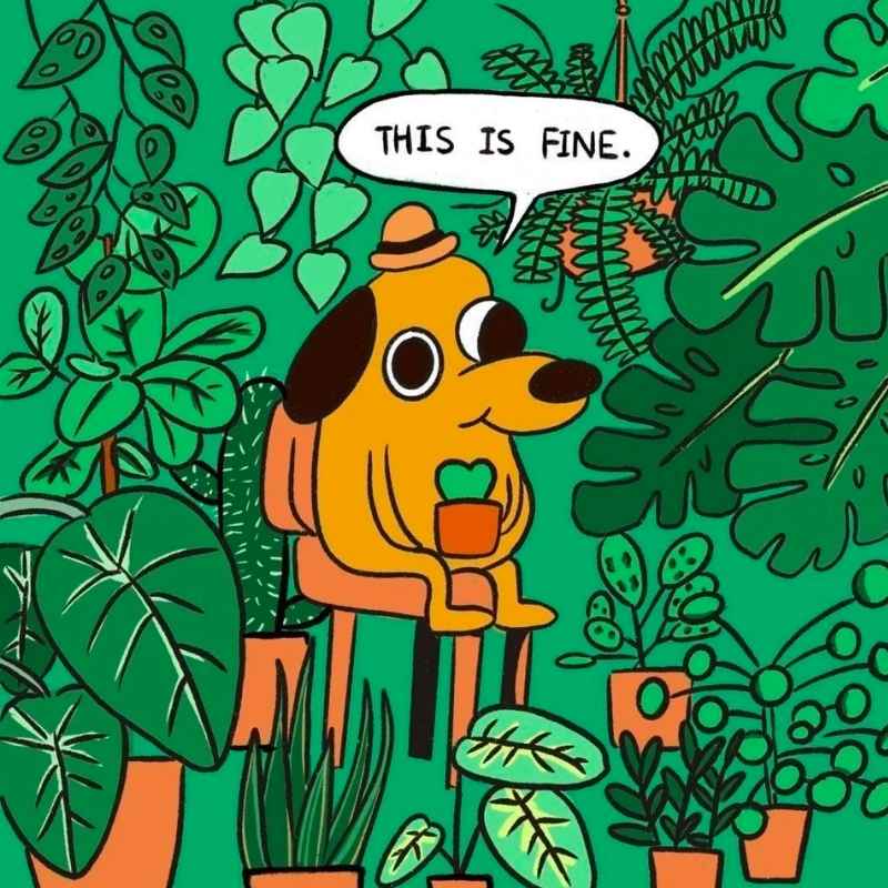 a little dog surrounded by lush plants saying this is fine