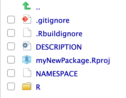 the basic files created by usethis to go in a package: the DESCRIPTION, NAMESPACE, Rproj, and R/ files